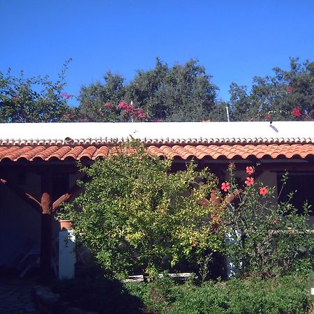 Finca El Abuelo Barbate Eksteriør billede
