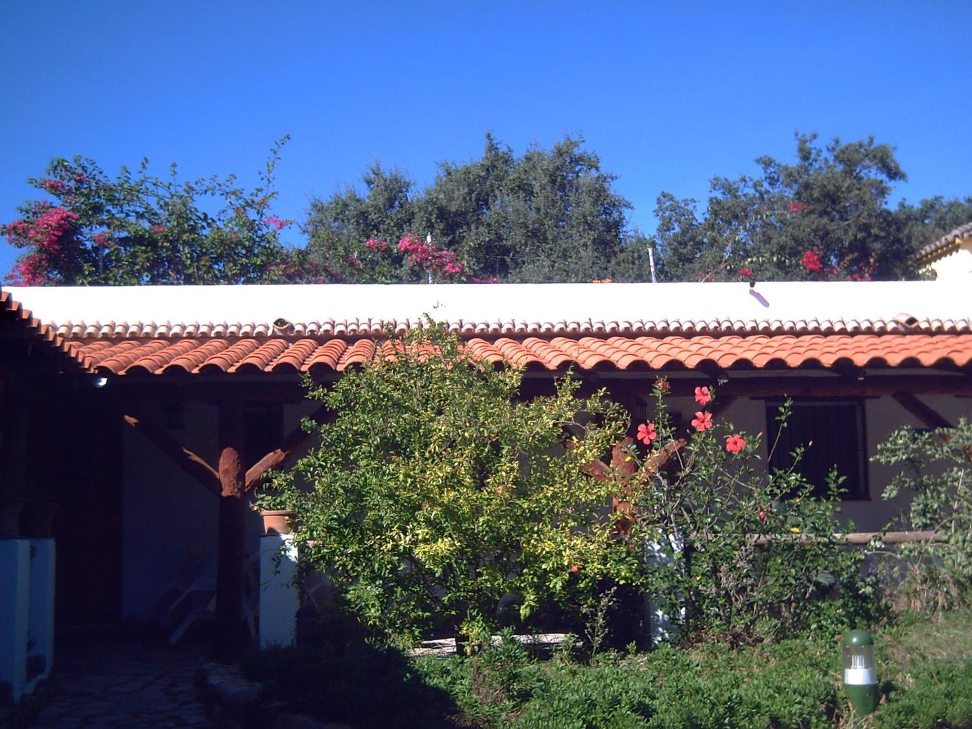 Finca El Abuelo Barbate Eksteriør billede