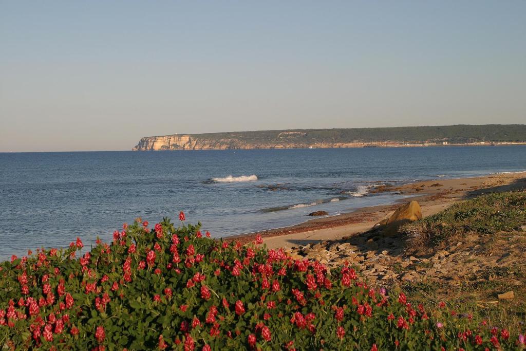 Finca El Abuelo Barbate Værelse billede